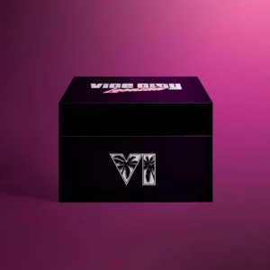 GTA 6 Collector’s Box